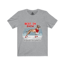 Load image into Gallery viewer, Xoloitzcuintli Best In Snow Unisex Jersey Short Sleeve Tee