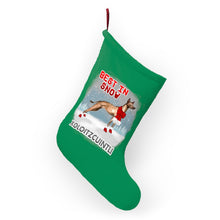 Load image into Gallery viewer, Xoloitzcuintli Best In Snow Christmas Stockings