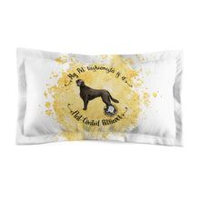 Load image into Gallery viewer, Flat-Coated Retriever Pet Fashionista Pillow Sham