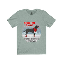 Load image into Gallery viewer, Curly-Coated Retriever Best In Snow Unisex Jersey Short Sleeve Tee