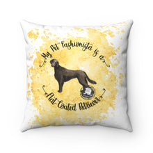 Load image into Gallery viewer, Flat-Coated Retriever Pet Fashionista Square Pillow