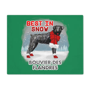 Bouvier Des Flandres Best In Snow Placemat
