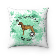 Load image into Gallery viewer, Plott Hound Pet Fashionista Square Pillow