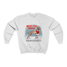 Load image into Gallery viewer, Xoloitzcuintli Best In Snow Heavy Blend™ Crewneck Sweatshirt