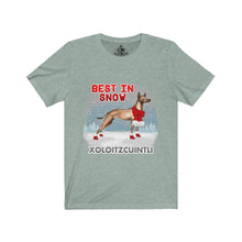 Load image into Gallery viewer, Xoloitzcuintli Best In Snow Unisex Jersey Short Sleeve Tee