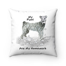 Load image into Gallery viewer, My Pumi Ate My Homework Square Pillow