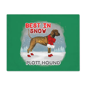 Plott Hound Best In Snow Placemat