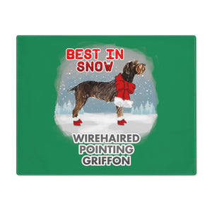 Wirehaired Pointing Griffon Best In Snow Placemat