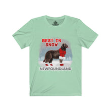 Load image into Gallery viewer, Newfoundland Best In Snow Unisex Jersey Short Sleeve Tee