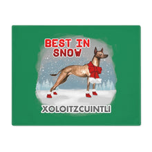 Load image into Gallery viewer, Xoloitzcuintli Best In Snow Placemat
