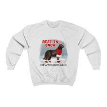 Load image into Gallery viewer, Newfoundland Best In Snow Heavy Blend™ Crewneck Sweatshirt