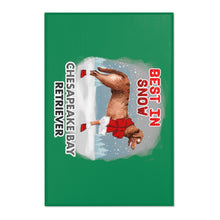 Load image into Gallery viewer, Chesapeake Bay Retriever Best In Snow Area Rug