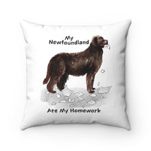Load image into Gallery viewer, My Newfoundland Ate My Homework Square Pillow