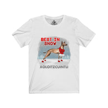 Load image into Gallery viewer, Xoloitzcuintli Best In Snow Unisex Jersey Short Sleeve Tee