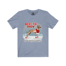Load image into Gallery viewer, Xoloitzcuintli Best In Snow Unisex Jersey Short Sleeve Tee