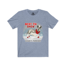 Load image into Gallery viewer, Cesky Terrier Best In Snow Unisex Jersey Short Sleeve Tee