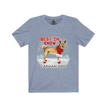 Load image into Gallery viewer, Canaan Dog Best In Snow Unisex Jersey Short Sleeve Tee