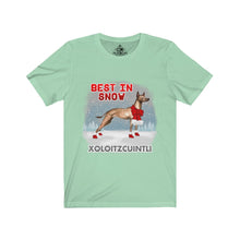 Load image into Gallery viewer, Xoloitzcuintli Best In Snow Unisex Jersey Short Sleeve Tee