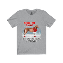 Load image into Gallery viewer, Chesapeake Bay Retriever Best In Snow Unisex Jersey Short Sleeve Tee