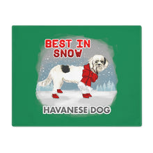 Load image into Gallery viewer, Havanese Best In Snow Placemat