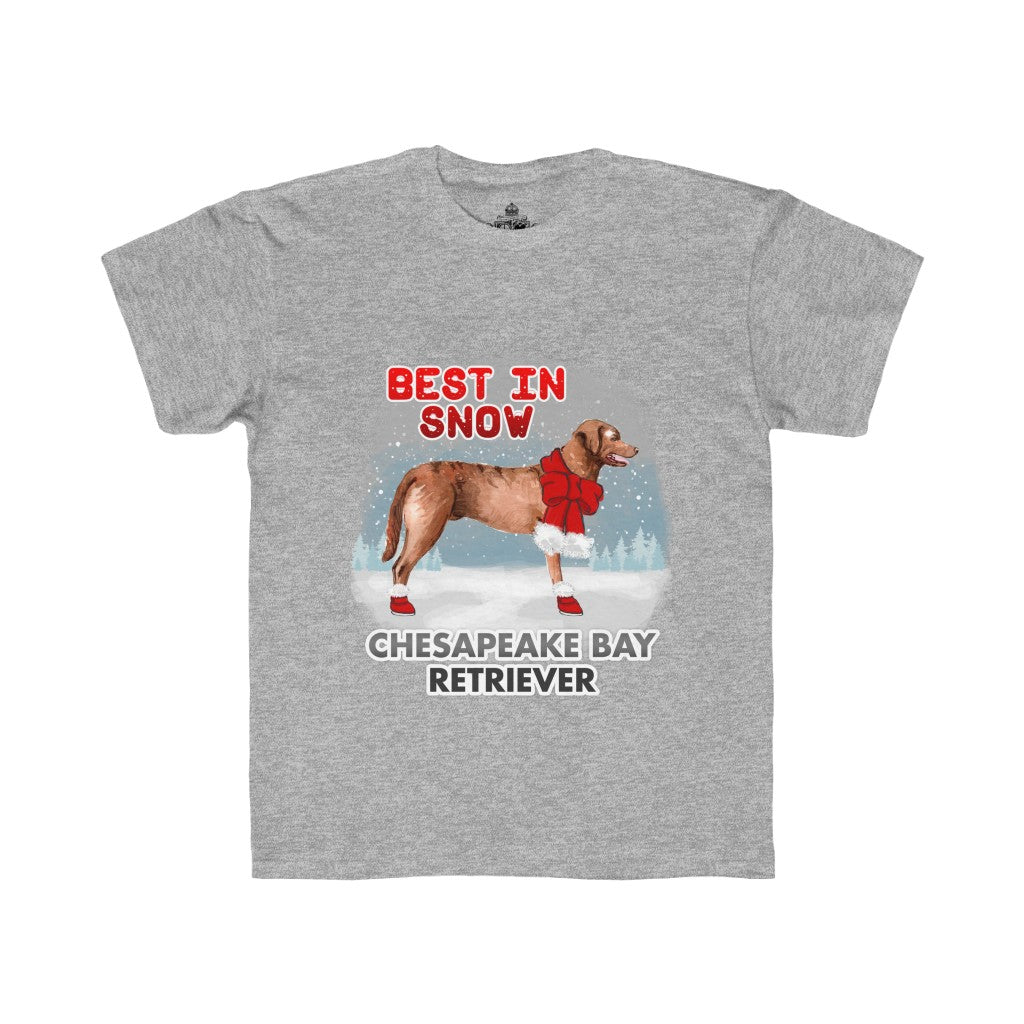 Chesapeake Bay Retriever Best In Snow Kids Regular Fit Tee