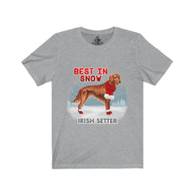 Load image into Gallery viewer, Irish Setter Best In Snow Unisex Jersey Short Sleeve Tee