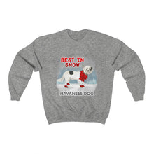 Load image into Gallery viewer, Havanese Best In Snow Heavy Blend™ Crewneck Sweatshirt