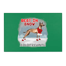 Load image into Gallery viewer, Xoloitzcuintli Best In Snow Area Rug