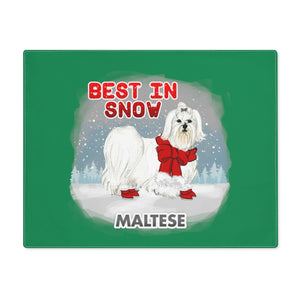 Maltese Best In Snow Placemat