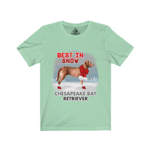 Load image into Gallery viewer, Chesapeake Bay Retriever Best In Snow Unisex Jersey Short Sleeve Tee