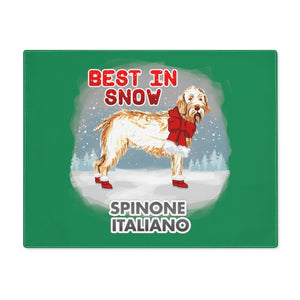 Spinone Italiano Best In Snow Placemat