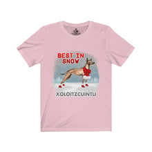 Load image into Gallery viewer, Xoloitzcuintli Best In Snow Unisex Jersey Short Sleeve Tee