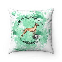Load image into Gallery viewer, Xoloitzcuintli Pet Fashionista Square Pillow
