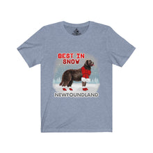Load image into Gallery viewer, Newfoundland Best In Snow Unisex Jersey Short Sleeve Tee