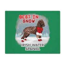 Load image into Gallery viewer, Irish Water Spaniel Best In Snow Placemat