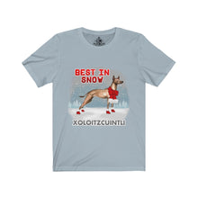 Load image into Gallery viewer, Xoloitzcuintli Best In Snow Unisex Jersey Short Sleeve Tee