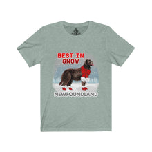 Load image into Gallery viewer, Newfoundland Best In Snow Unisex Jersey Short Sleeve Tee