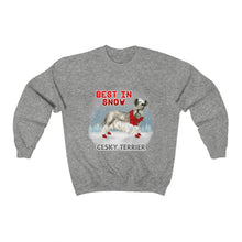 Load image into Gallery viewer, Cesky Terrier Best In Snow Heavy Blend™ Crewneck Sweatshirt