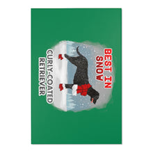 Load image into Gallery viewer, Curly-Coated Retriever Best In Snow Area Rug