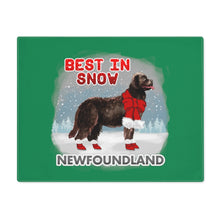 Load image into Gallery viewer, Newfoundland Best In Snow Placemat