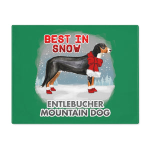Entlebucher Mountain Dog Best In Snow Placemat