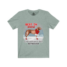 Load image into Gallery viewer, Chesapeake Bay Retriever Best In Snow Unisex Jersey Short Sleeve Tee