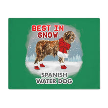 Load image into Gallery viewer, Spanish Water Dog Best In Snow Placemat
